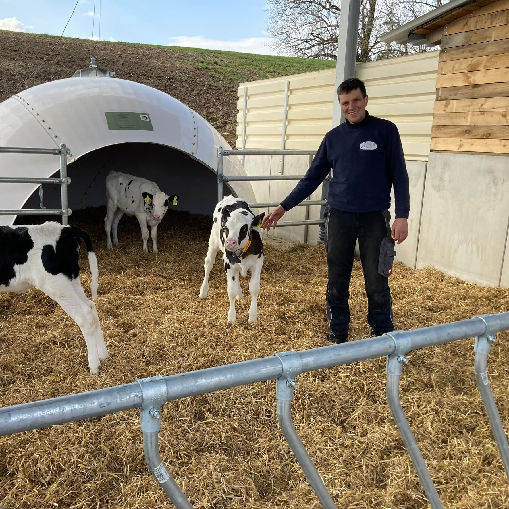 Kälber auf dem Poolehof – Tierwohl und artgerechte Haltung in Nordstetten
