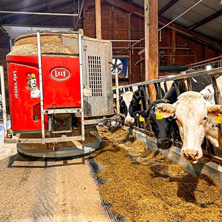 Lely Fütterungsroboter mit Milchkühen auf dem Poolehof Nordstetten