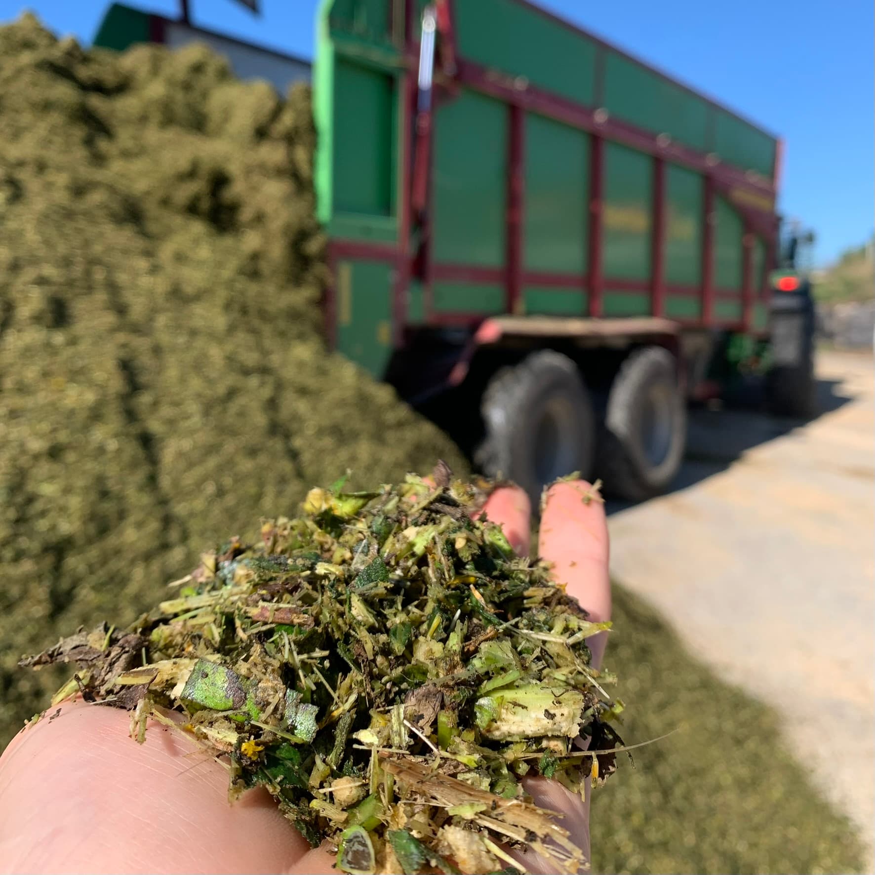 Silage als Biogas-Substrat – Kreislaufwirtschaft Poolehof